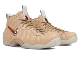 5 Decades Air Foamposite Pro - BTKA_1487265633873013_4c2ee4190260d41a1287fc86f26d34