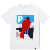 T-SHIRT SEAHAWK - 33bd82bb3fb3df1a0e831169b74913a3