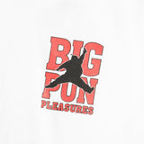STATS T-SHIRT - PLEASURES-NOW_STATS-T-SHIRT_WHITE-P19P101055_03